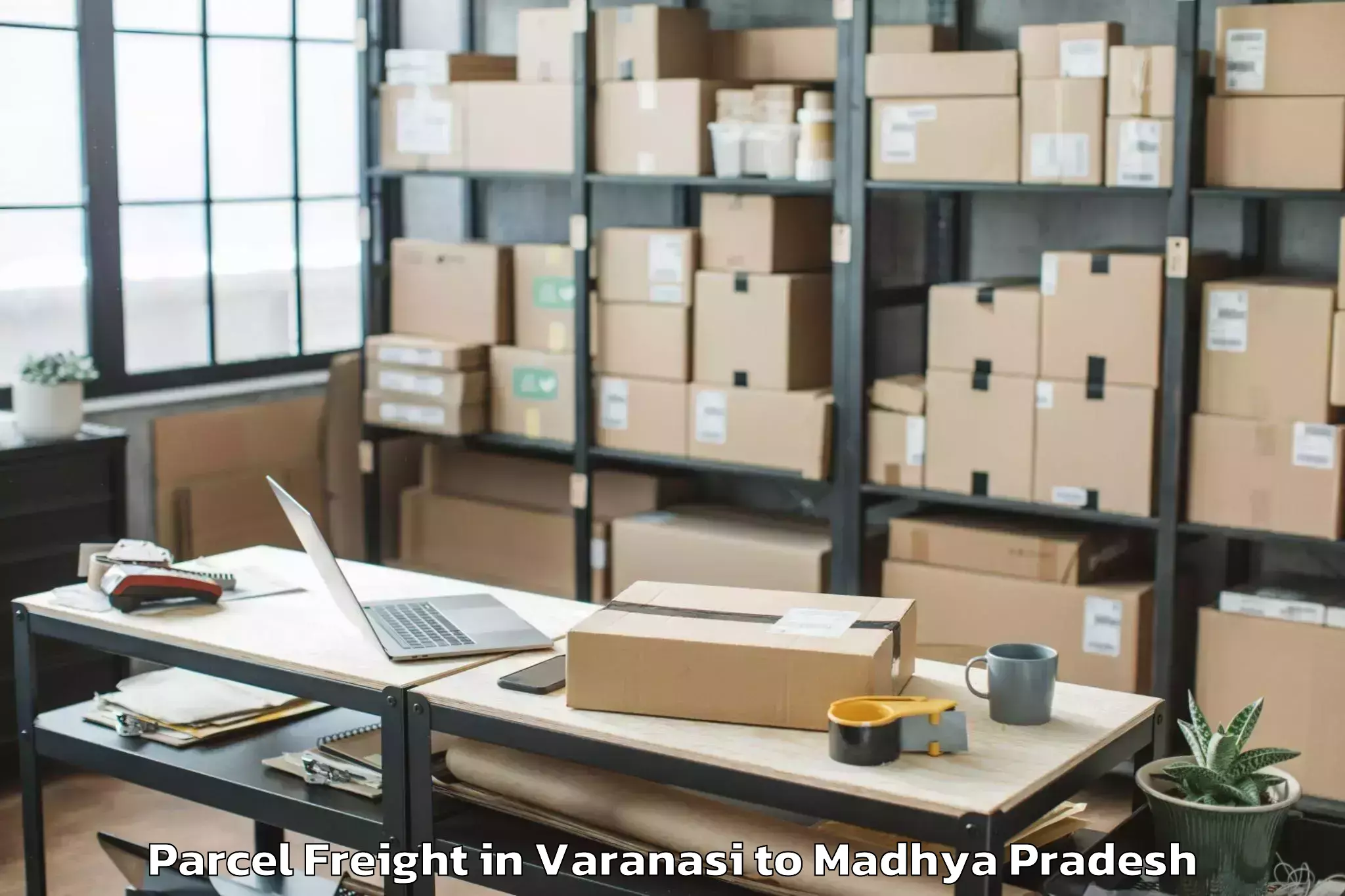 Trusted Varanasi to Alot Parcel Freight